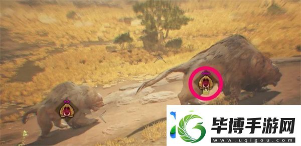 怪物獵人荒野大小金如何速刷
