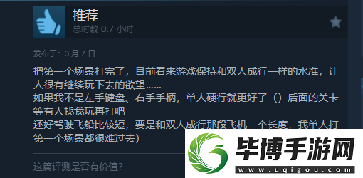 雙影奇境Steam好評如潮